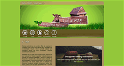Desktop Screenshot of galloway.sk